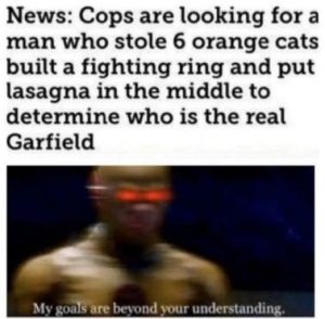 Stupid Bar Memes 2f9909048398997d