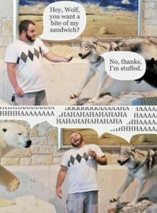 Stupid Bar Memes 39300524meme.jpegs618x836