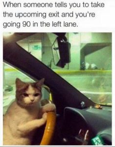 Stupid Bar Memes 423ca00566cce6c0