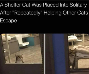 Stupid Bar Memes 46100624meme.jpegs1s618x515