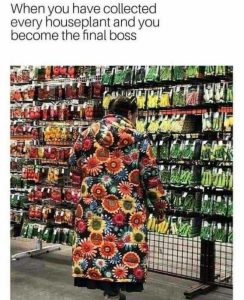 Stupid Bar Memes 461a0a8f2db089fe