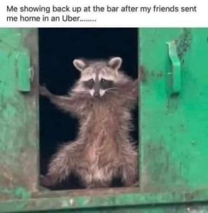 Stupid Bar Memes 50300524meme.jpegs618x632