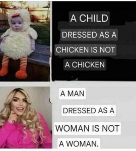 Stupid Bar Memes 58bbdd3a113d9606