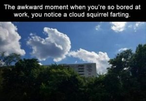 Stupid Bar Memes 5bd1c9cff3006337