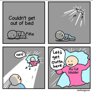 Stupid Bar Memes 72100624meme.jpegs618x617