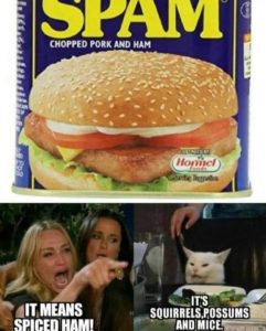 Stupid Bar Memes 721a61fab856cbfb