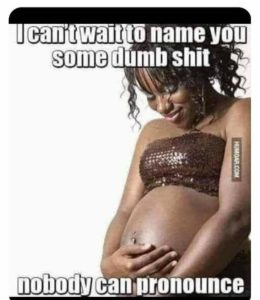 Stupid Bar Memes 7b7d79aab6a1b6d5