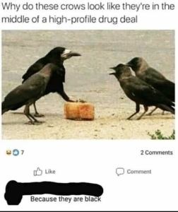 Stupid Bar Memes 8300524meme.jpegs618x737