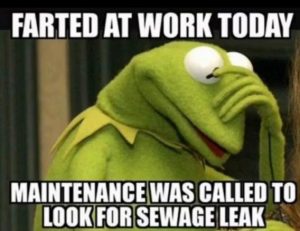 Stupid Bar Memes 8a9a03b358633270