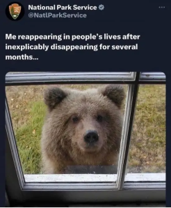 Stupid Bar Memes AnCFxo2