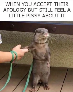 Stupid Bar Memes DARs06s04s24s55s3