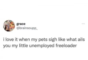 Stupid Bar Memes KObQiCx