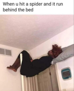 Stupid Bar Memes RjqZdHSsd