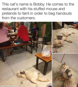 Stupid Bar Memes WARs05s26s24sAFTERNOONs66s2