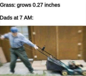 Stupid Bar Memes XGeWZop