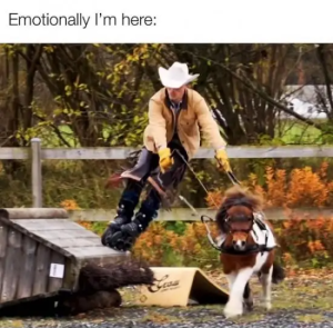 Stupid Bar Memes YPAog7V