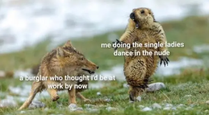 Stupid Bar Memes ZmRflPE