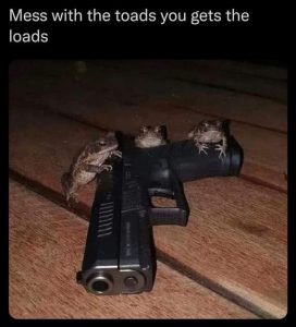 Stupid Bar Memes b63849ddfc9da72d