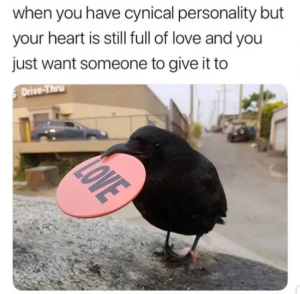 Stupid Bar Memes bTeVJIO