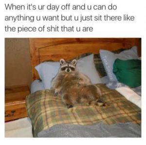Stupid Bar Memes byQ8W1Tsc469cc