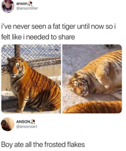 Stupid Bar Memes c3a357c65ea2a639