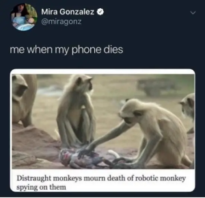 Stupid Bar Memes dRsAVrys7cd916