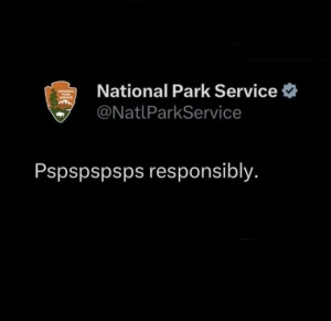 Stupid Bar Memes gCJvDab