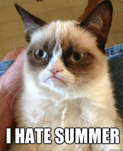 Stupid Bar Memes gcsummertrt