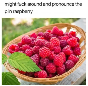 Stupid Bar Memes n3Lkzeo