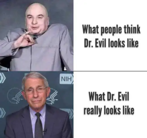 Stupid Bar Memes politicallysa35sa