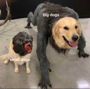 Stupid Bar Memes politics11s