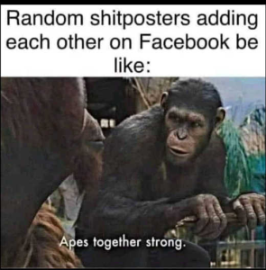 Stupid Bar Memes politics39s