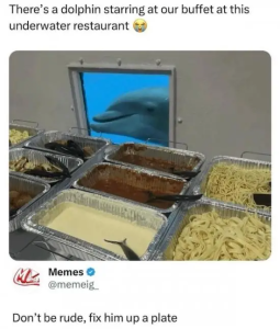 Stupid Bar Memes rjO3agc