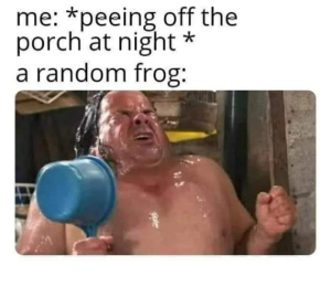 Stupid Bar Memes tKYpv4fsd