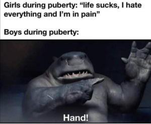 Stupid Bar Memes uvjFwYfsd