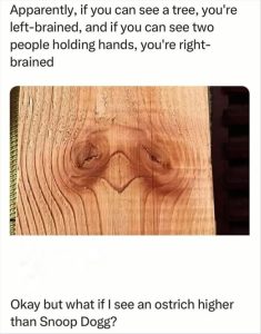 Stupid Bar Memes whatsif