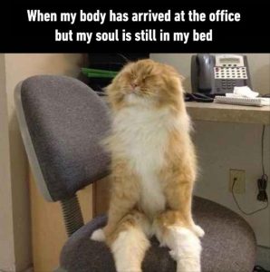 Stupid Bar Memes whensyousgetstosthesoffice