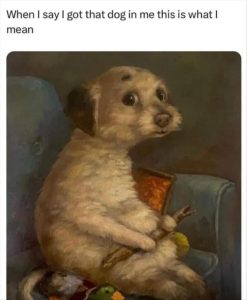 Stupid Bar Memes whensyousgotsthatsdogsinsme