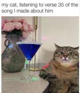 Stupid Bar Memes yourescatss1