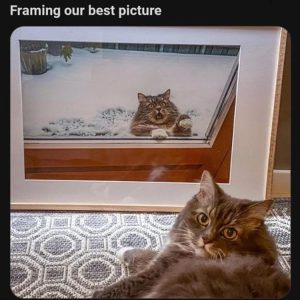 Stupid Bar Memes youresframingsyoursbestspicture