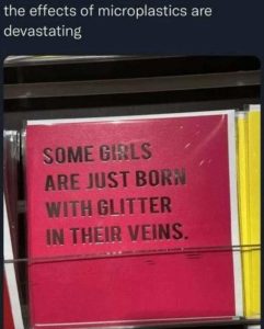 Stupid Bar Memes youresglitter