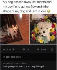 Stupid Bar Memes youresseeingsdogss1