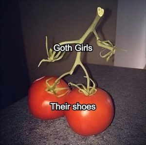 Stupid Bar Memes youresshoess1