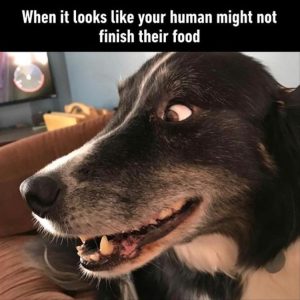Stupid Bar Memes youreswantingsfood