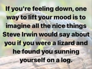 Stupid Bar Memes youreswantingstosfeelsdown