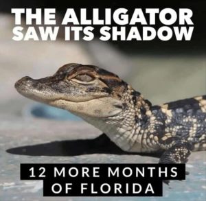 Stupid Bar Memes youreswantingstosgostosflorida