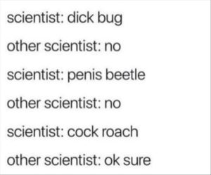 Stupid Bar Memes youreswantingstosnamesit