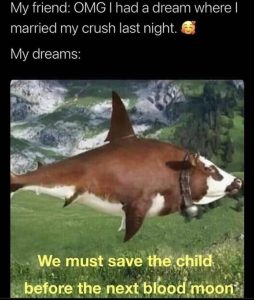 Stupid Bar Memes youreswantingstossavesthescow
