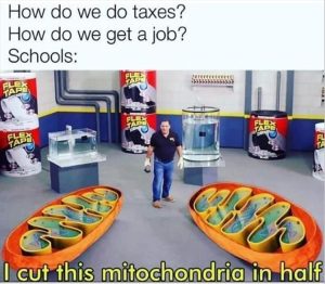 Stupid Bar Memes youresweirdsscience