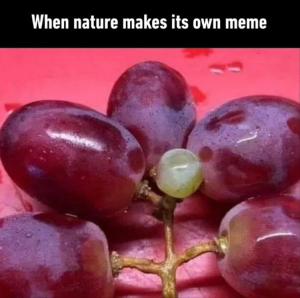 Stupid Bar Memes youreswhatchingsmemes